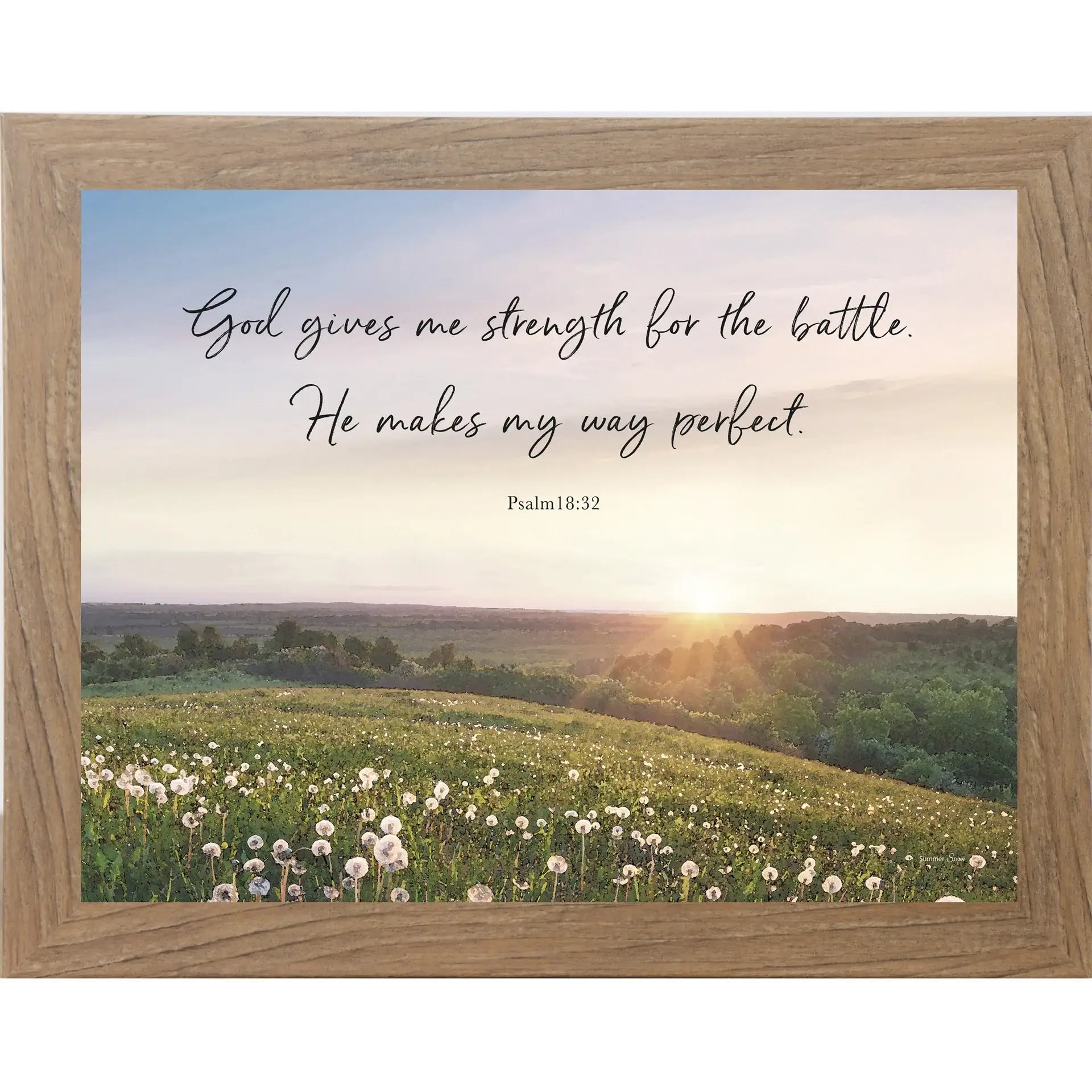 Christian Landscape God Gives Me Strength Framed Art