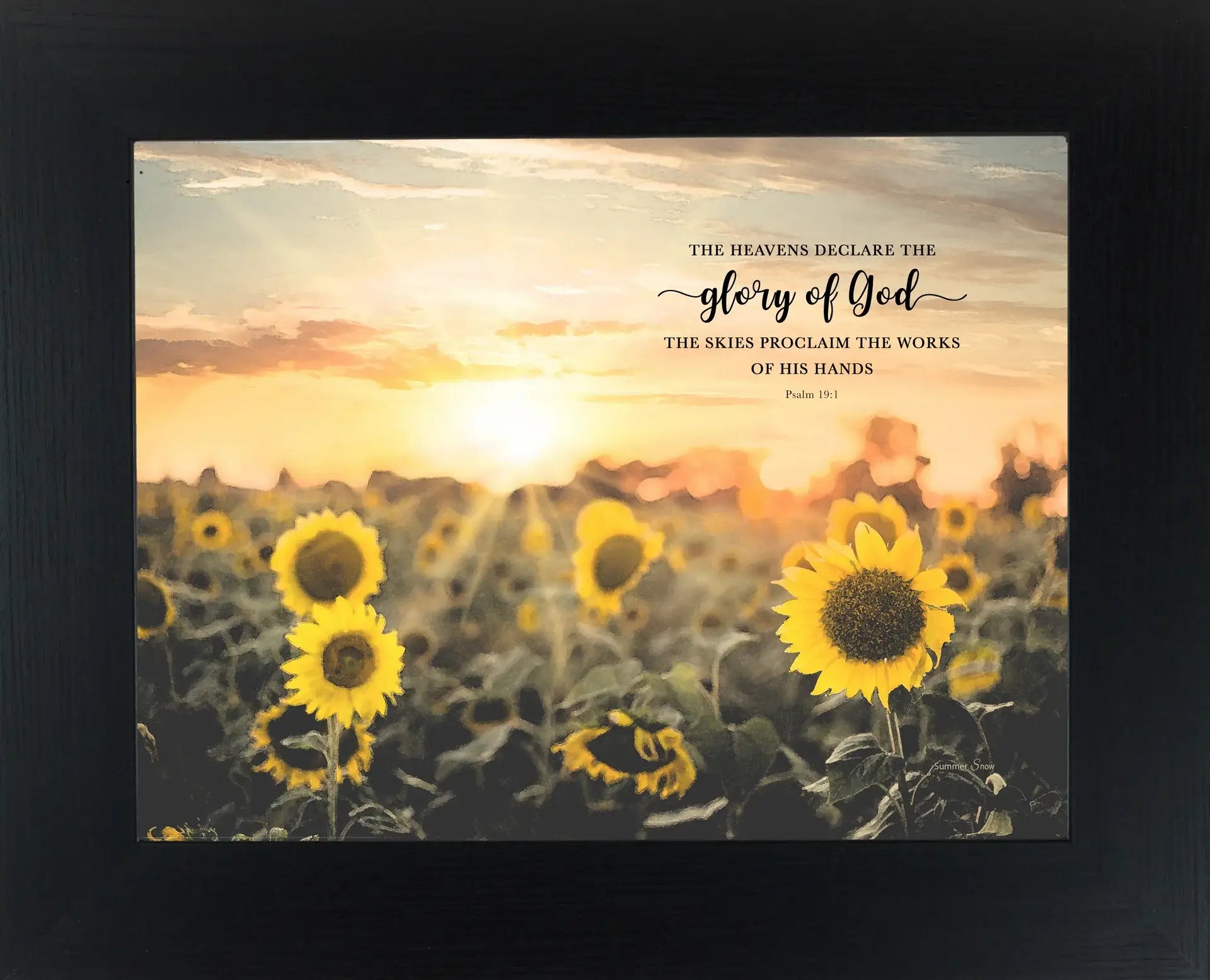 Glory Of God Sunflower Field Picture Christian Art Sign