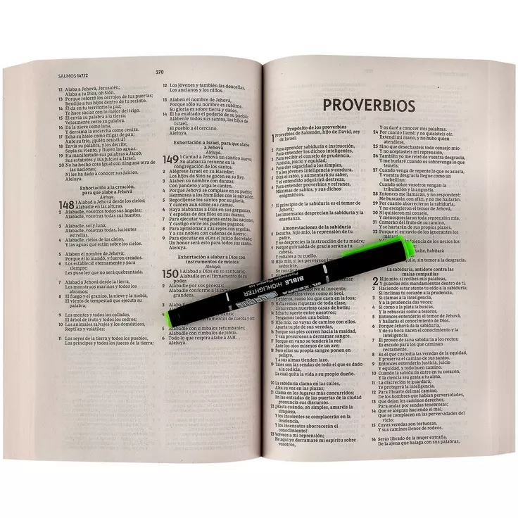 Biblia Reina Valera RVR 1977 Económica