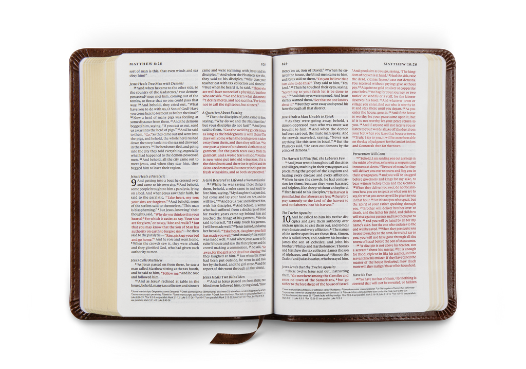ESV Compact Bible, Red Letter, TruTone®, Brown