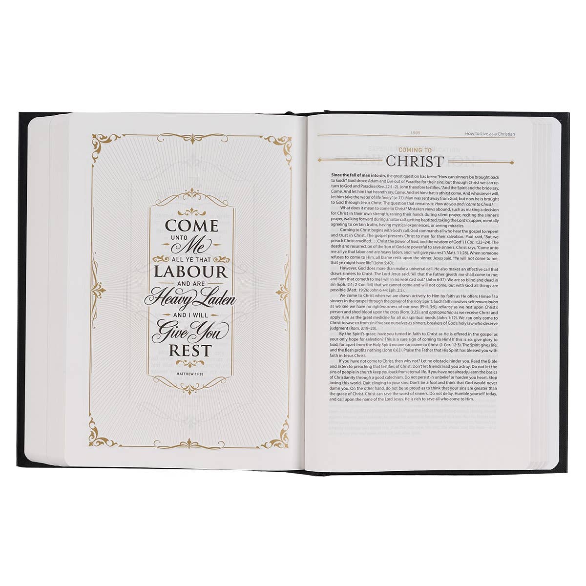 KJV Study Bible Hardcover, Black