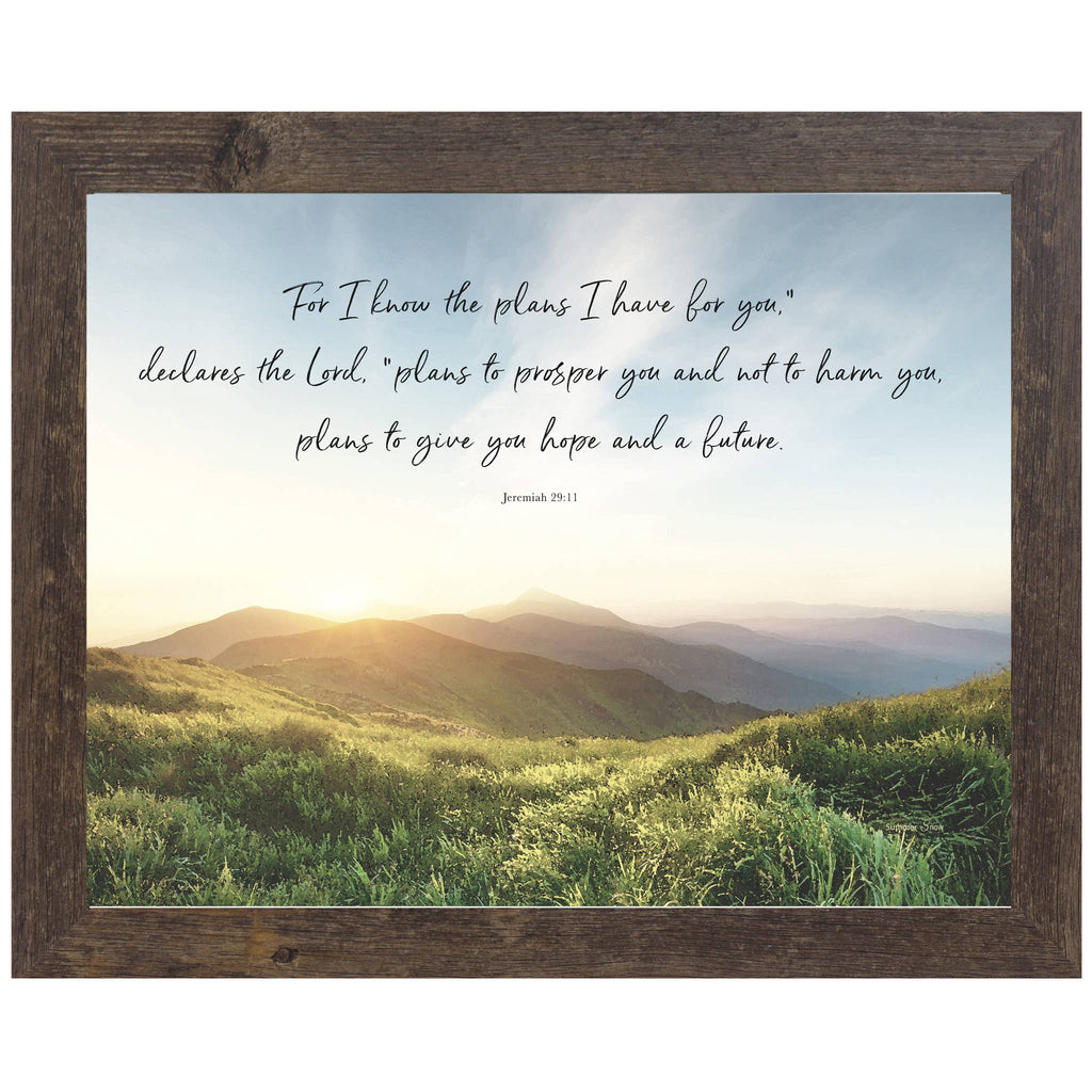 Religious For I Know The Plans I Have For You Framed Art