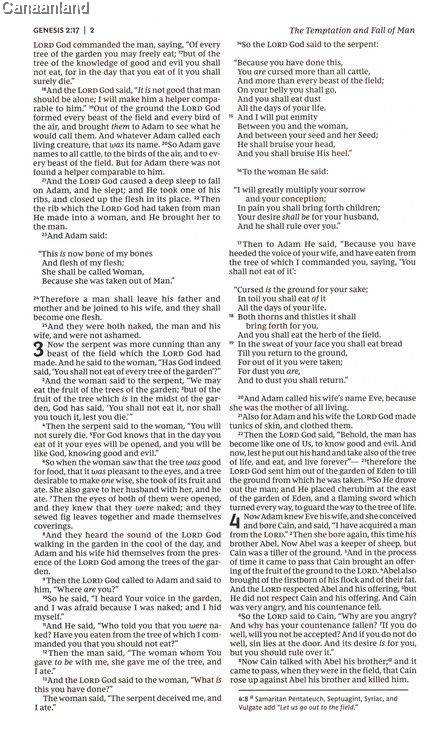 Black NKJV Bible Gift and Award