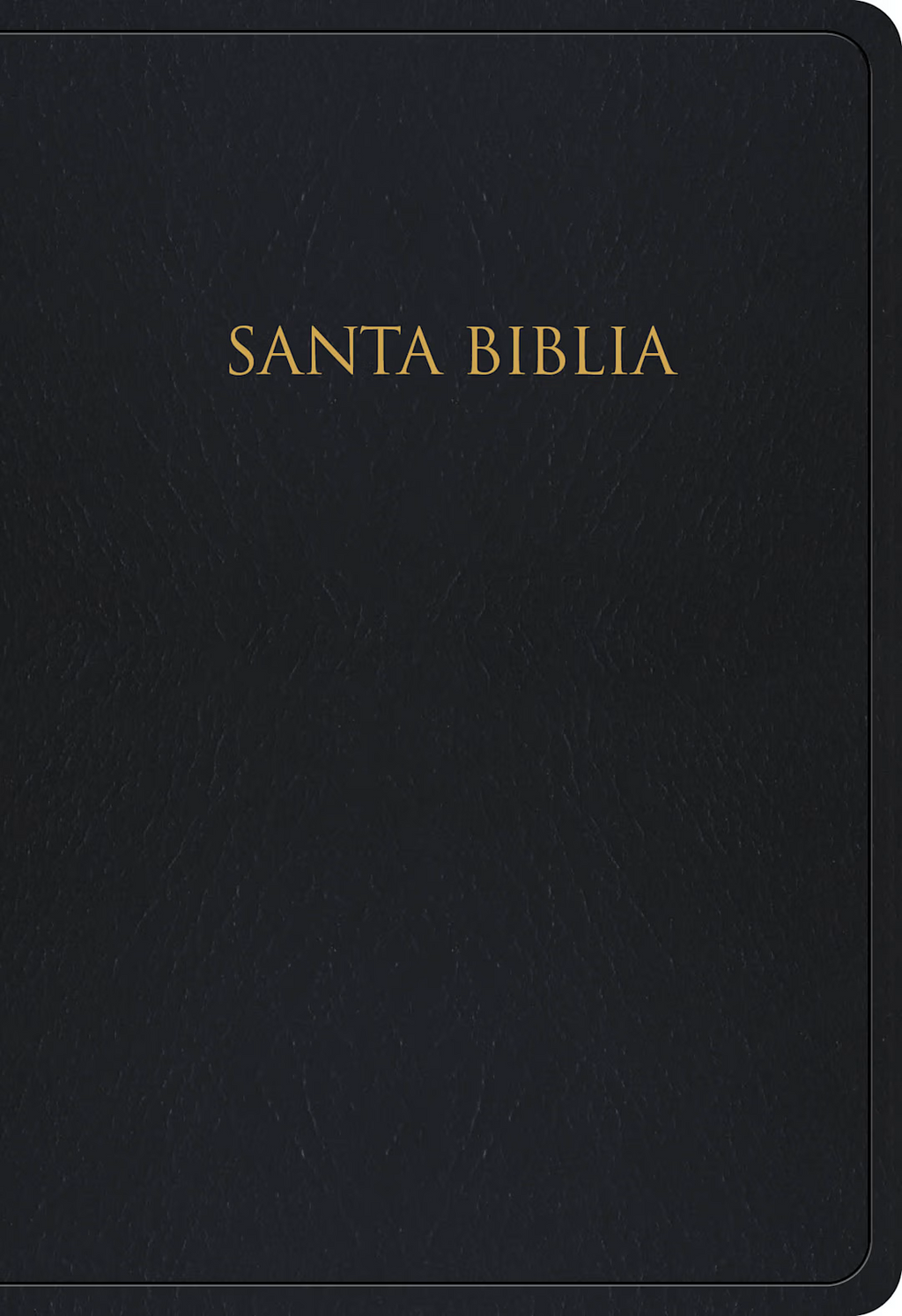 RVR 1960 Biblia Para Regalos y Premios Negro Imitación Piel