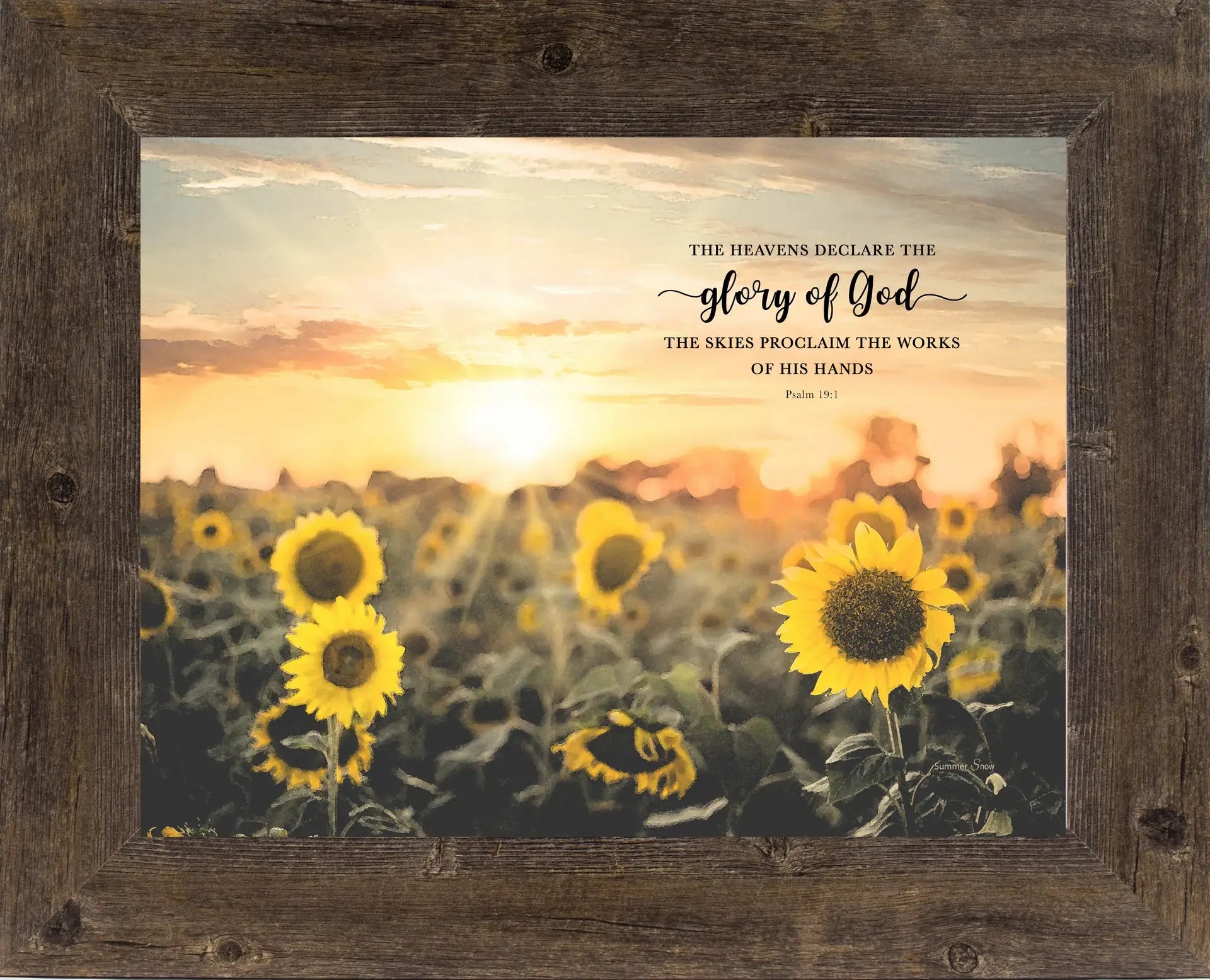 Glory Of God Sunflower Field Picture Christian Art Sign