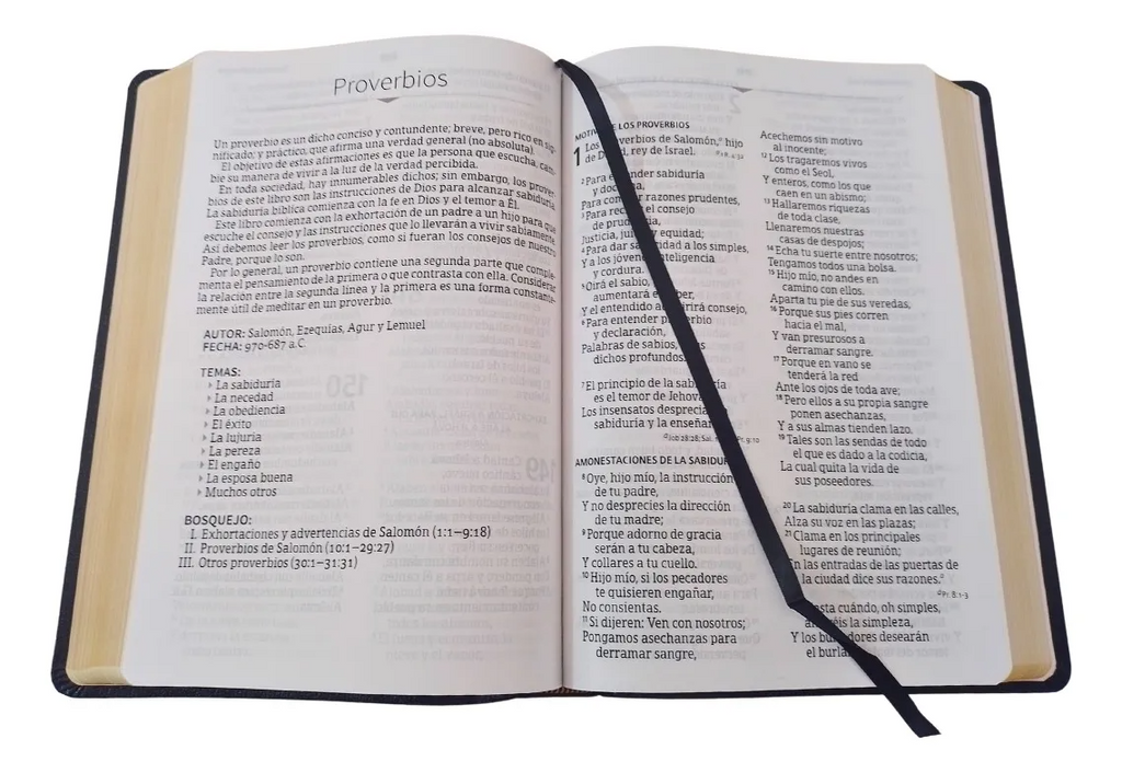 Biblia RVR 1960 Letra Súper Gigante Símulacion Piel con Índice - IRREGULAR