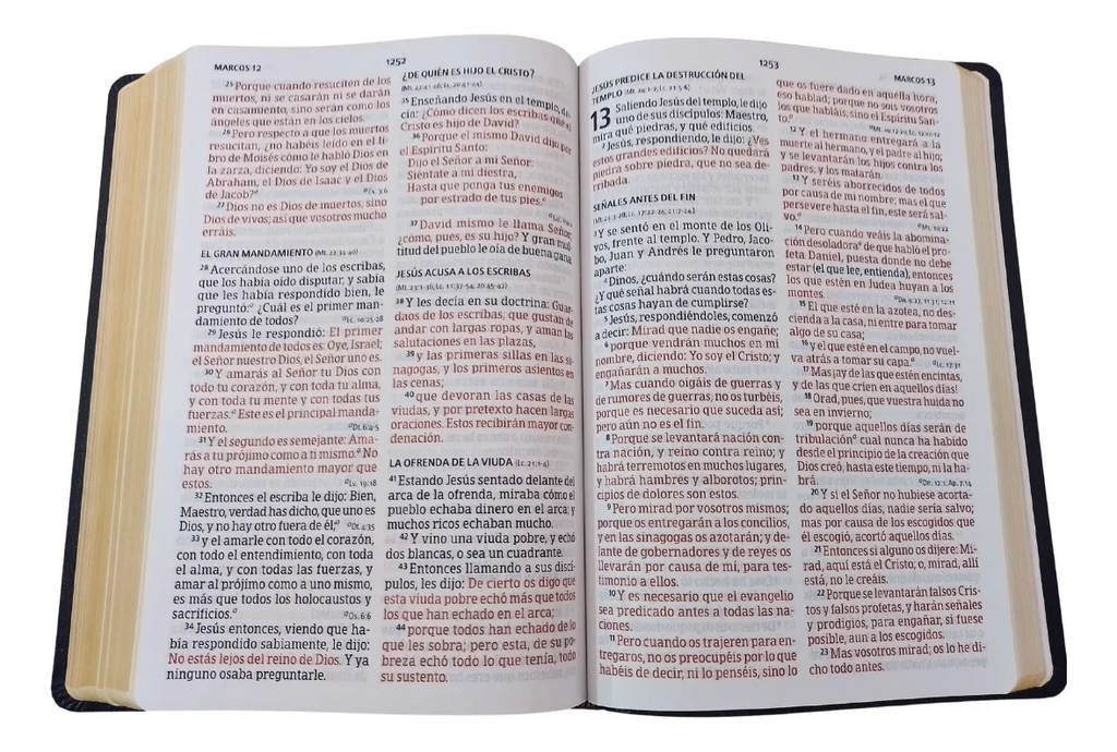 Biblia RVR 1960 Letra Súper Gigante Símulacion Piel con Índice - IRREGULAR