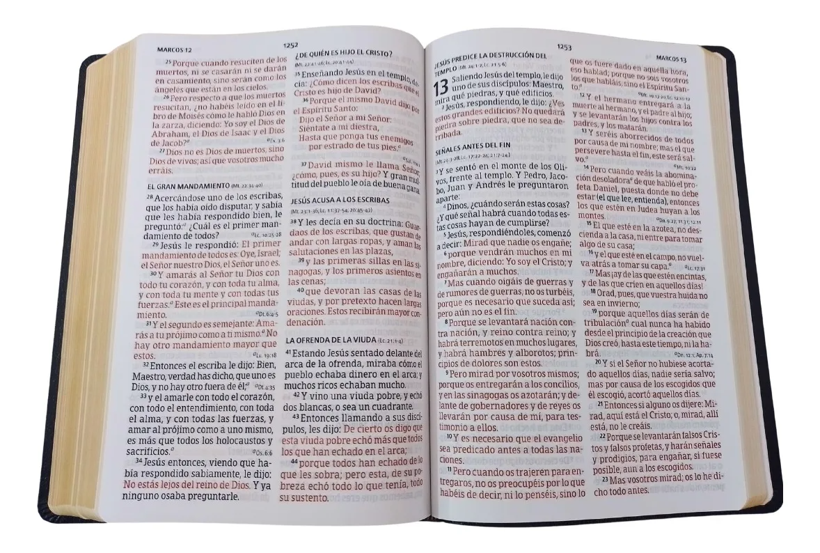 Biblia RVR 1960 Letra Súper Gigante Símulacion Piel con Índice - IRREGULAR