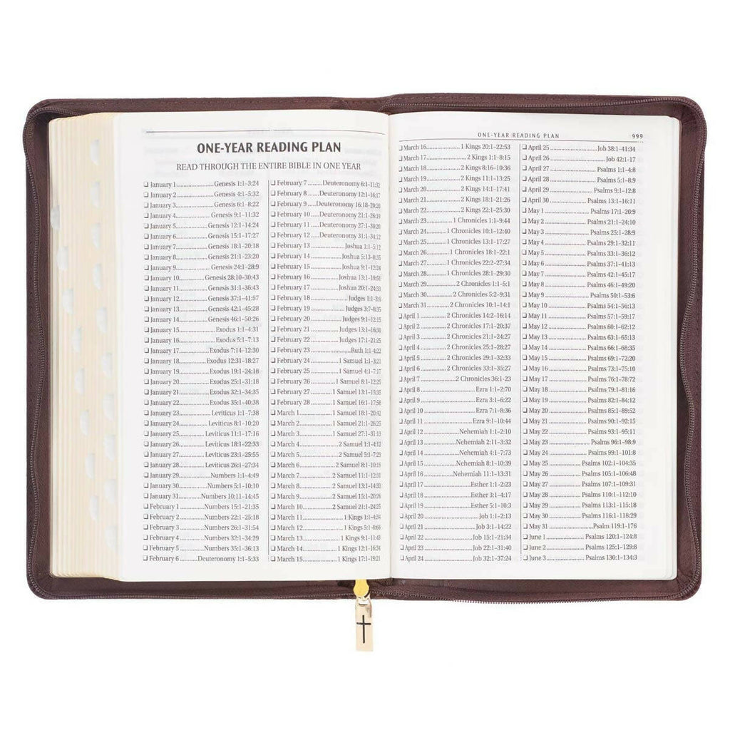 KJV Bible Deluxe Gift Faux Leather, Brown Lion w/zipper