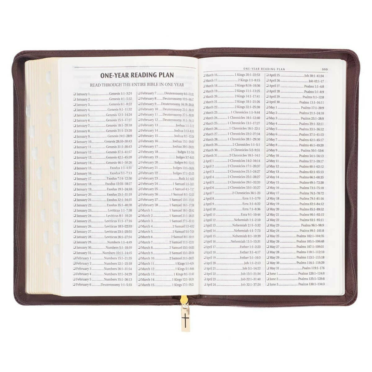 KJV Bible Deluxe Gift Faux Leather, Brown Lion w/zipper