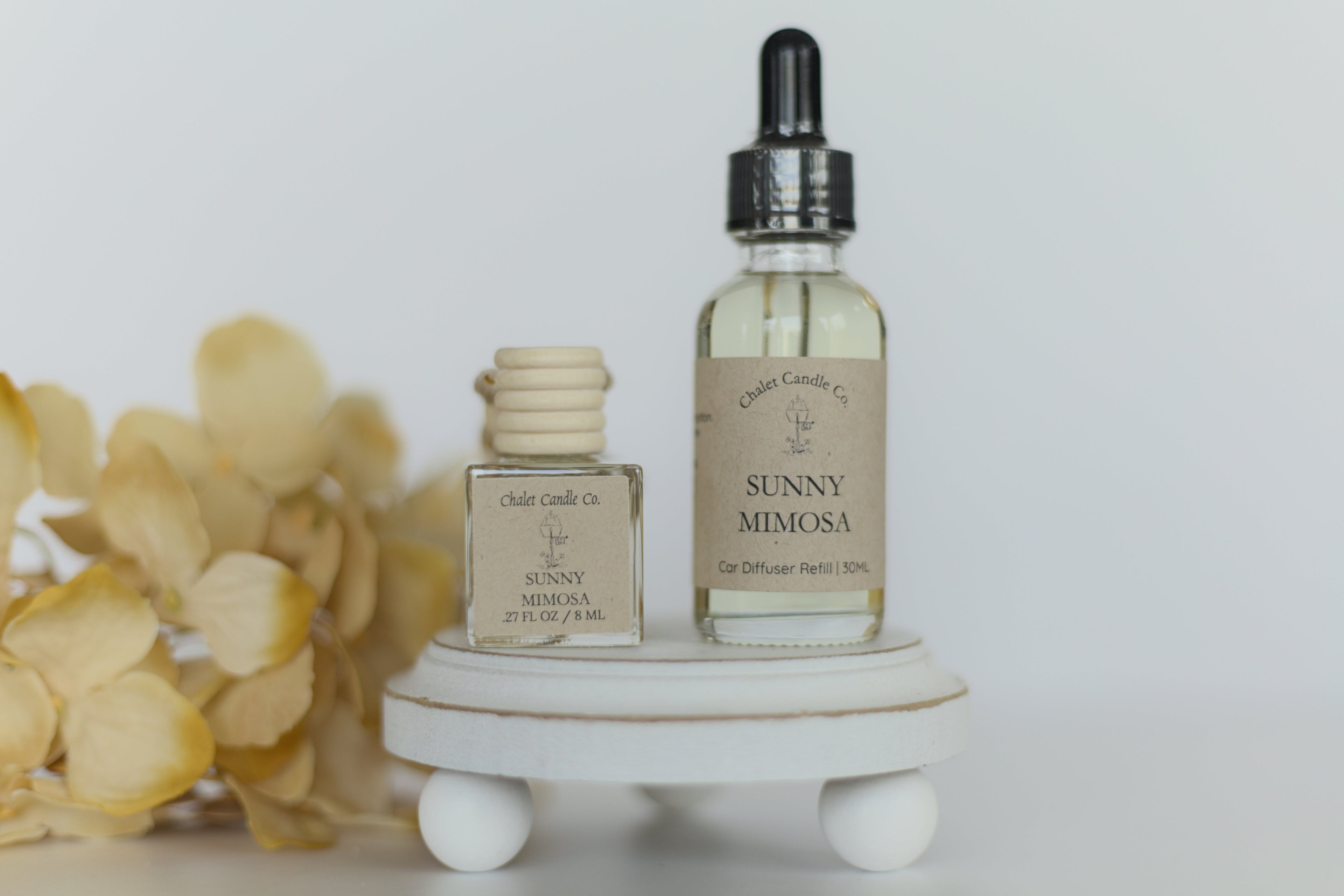 Sunny Mimosa