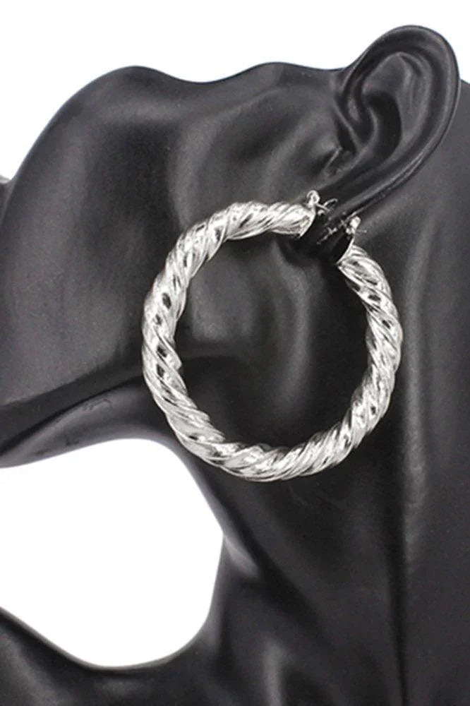 Brushed Metal Twisted Hoop Pin Catch Earrings - Jewelry Store by Erik Rayo