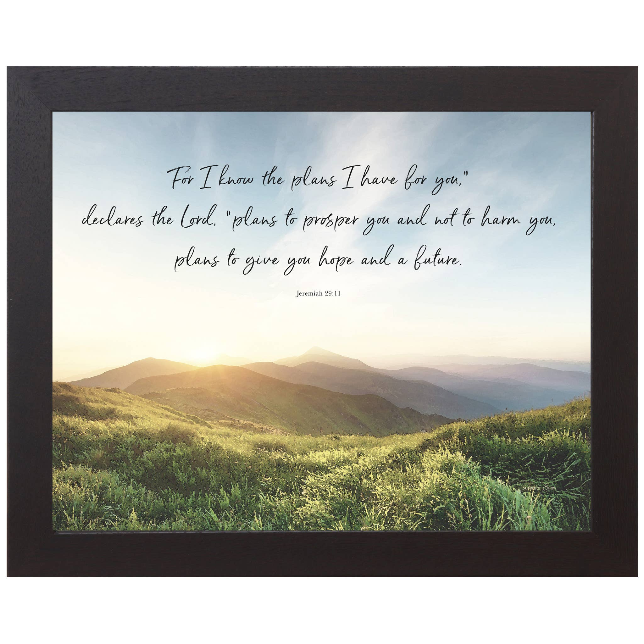 Religious For I Know The Plans I Have For You Framed Art