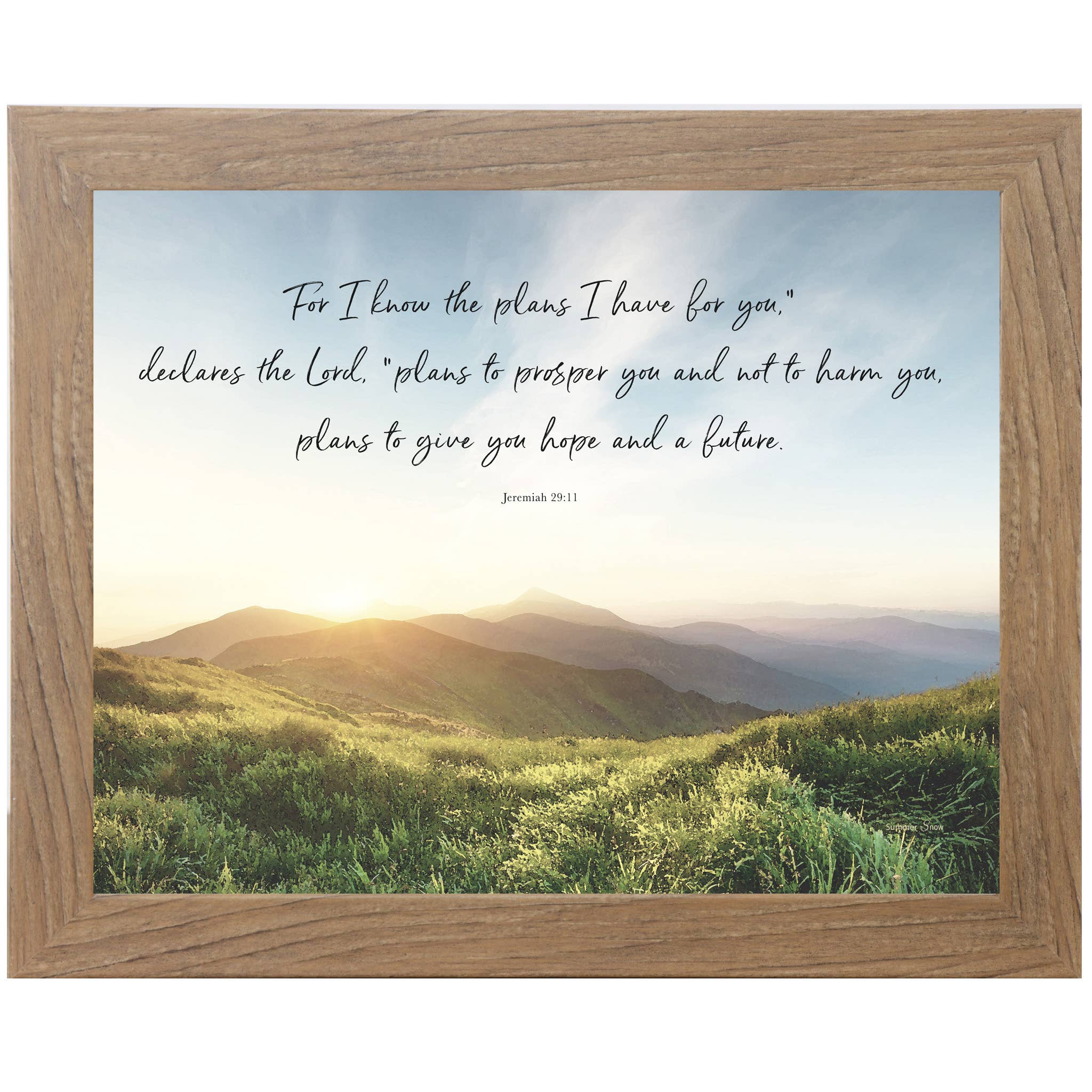 Religious For I Know The Plans I Have For You Framed Art