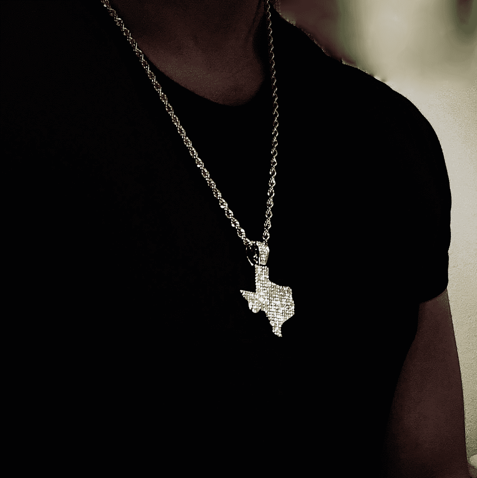 Gold Texas Necklace - Jewelry Store by Erik Rayo