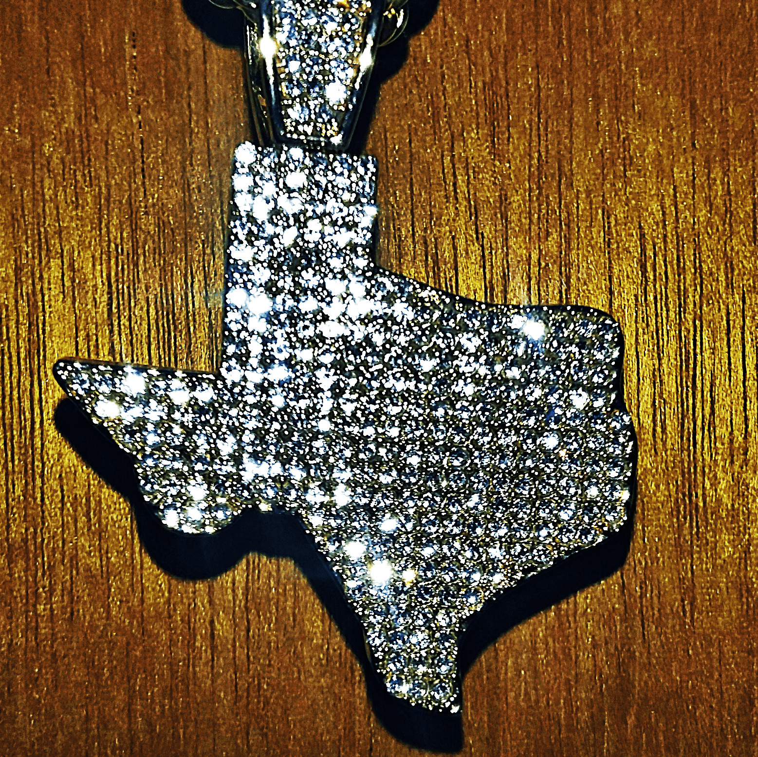 Gold Texas Necklace - Jewelry Store by Erik Rayo