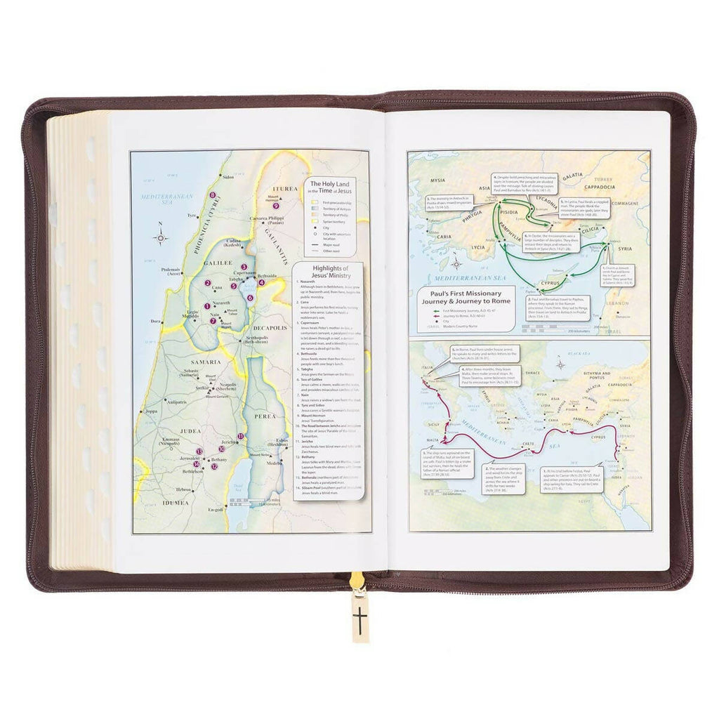KJV Bible Deluxe Gift Faux Leather, Brown Lion w/zipper
