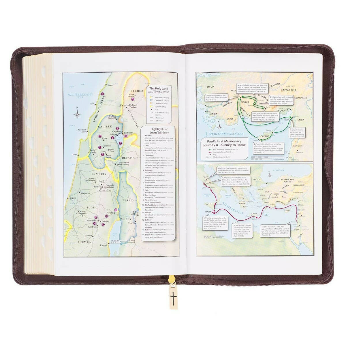 KJV Bible Deluxe Gift Faux Leather, Brown Lion w/zipper