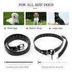 2700 FT Remote Dog Shock Training Collar Rechargeable Waterproof LCD Pet Trainer - Jewelry Store by Erik Rayo