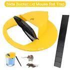 Mouse Rat Trap Flip & Slide Mouse Trap Bucket Catcher Mousetrap Slide Bucket Lid - Jewelry Store by Erik Rayo