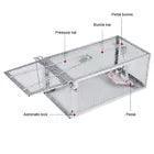 USA Mouse Trap Rat Trap Rodent Trap Live Catch Cage, Easy to Set Up and Reuse - Jewelry Store by Erik Rayo