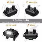 2600 FT Remote Dog Shock Training 2 Collar Set Rechargeable Waterproof LCD Pet - Jewelry Store by Erik Rayo