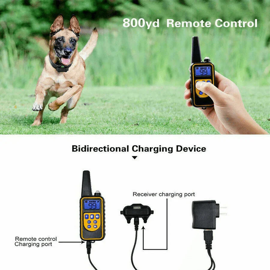 2700 FT Remote Dog Shock Training Collar Rechargeable Waterproof LCD Pet Trainer - Jewelry Store by Erik Rayo