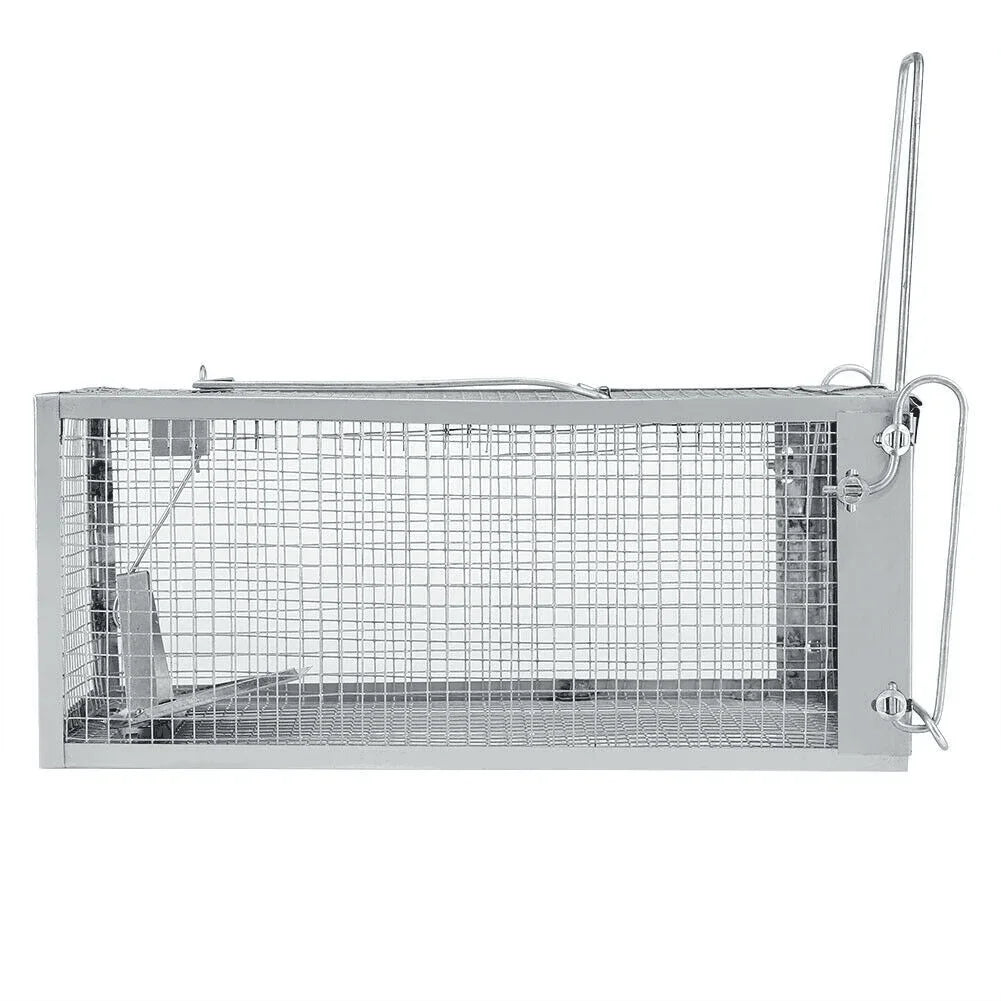USA Mouse Trap Rat Trap Rodent Trap Live Catch Cage, Easy to Set Up and Reuse - Jewelry Store by Erik Rayo