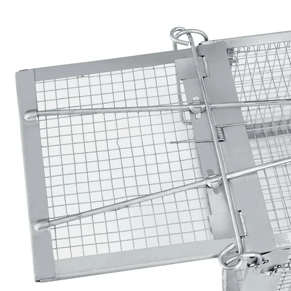 USA Mouse Trap Rat Trap Rodent Trap Live Catch Cage, Easy to Set Up and Reuse - Jewelry Store by Erik Rayo