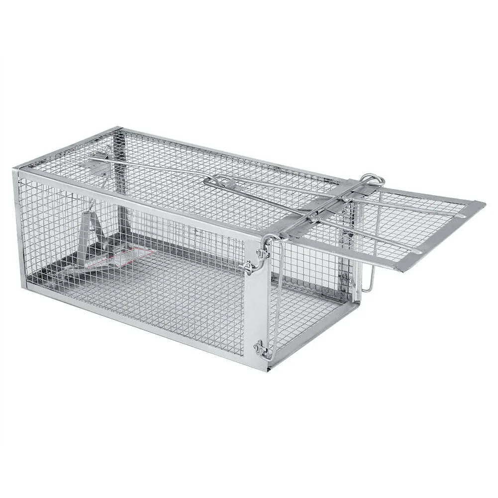 USA Mouse Trap Rat Trap Rodent Trap Live Catch Cage, Easy to Set Up and Reuse - Jewelry Store by Erik Rayo