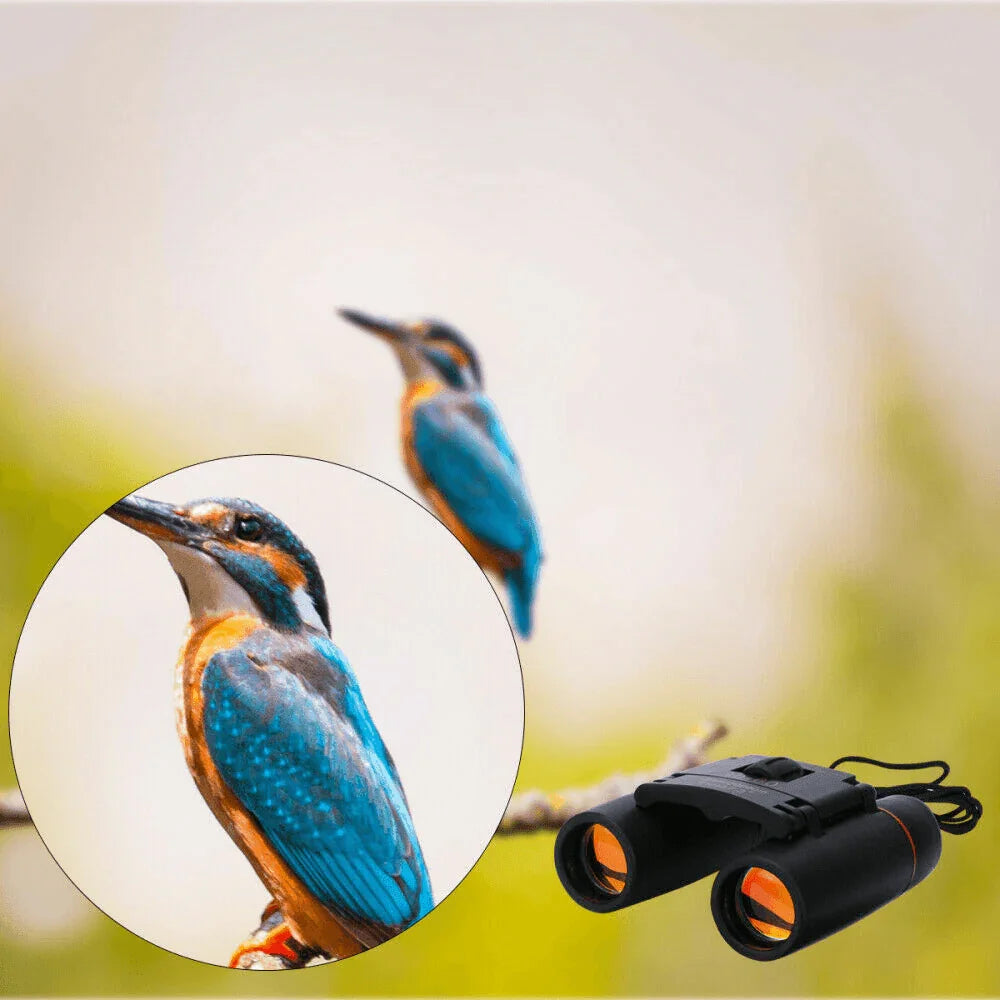 Binoculars 30x60 Zoom Outdoor Travel Compact Folding Telescope Hunting Day/Night - Jewelry Store by Erik Rayo