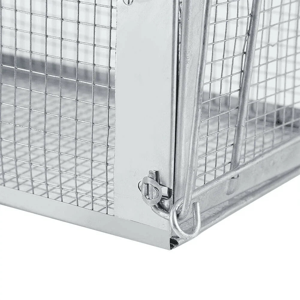 USA Mouse Trap Rat Trap Rodent Trap Live Catch Cage, Easy to Set Up and Reuse - Jewelry Store by Erik Rayo