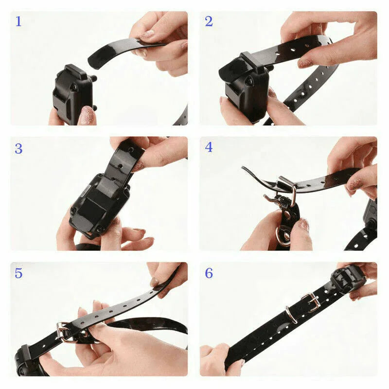 2700 FT Remote Dog Shock Training Collar Rechargeable Waterproof LCD Pet Trainer - Jewelry Store by Erik Rayo