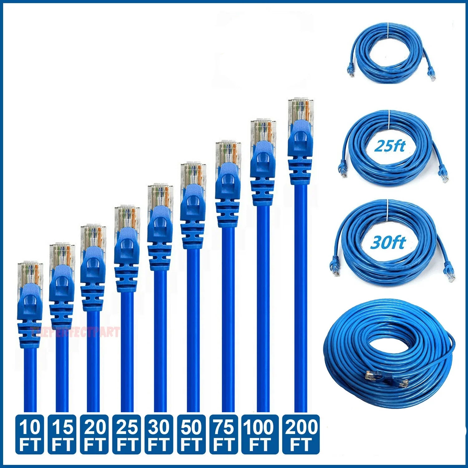CAT 6 Ethernet Cable Lan Network CAT6 Internet Modem Blue RJ45 Patch Cord LOT - Jewelry Store by Erik Rayo