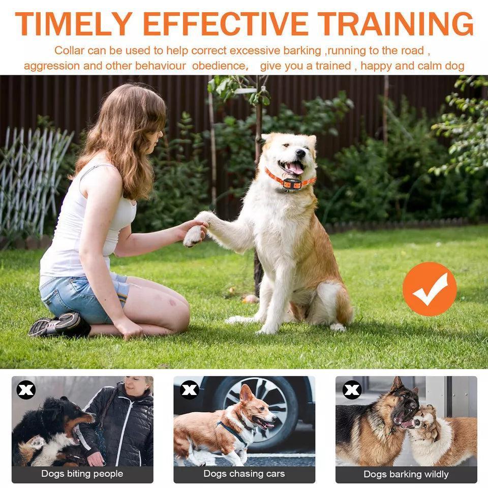 2700 FT Remote Dog Shock Training Collar Rechargeable Waterproof LCD Pet Trainer - Jewelry Store by Erik Rayo